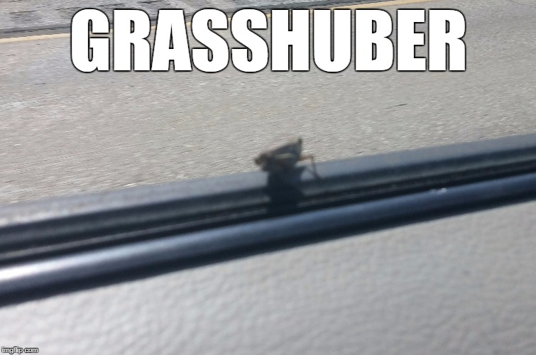 GrasshUber | GRASSHUBER | image tagged in grasshopper,ride | made w/ Imgflip meme maker