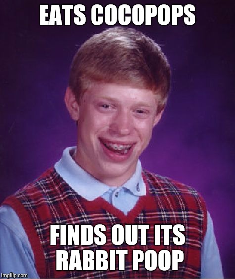 Bad Luck Brian Meme | EATS COCOPOPS; FINDS OUT ITS RABBIT POOP | image tagged in memes,bad luck brian | made w/ Imgflip meme maker
