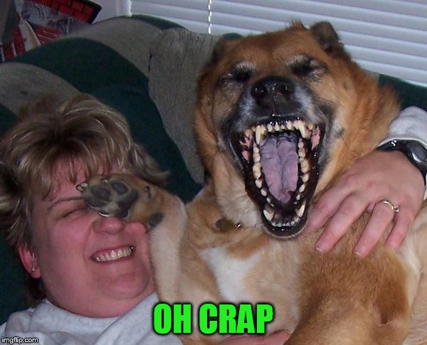 laughing dog | OH CRAP | image tagged in laughing dog | made w/ Imgflip meme maker