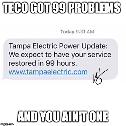 TECO GOT 99 PROBLEMS; AND YOU AIN'T ONE | image tagged in 99 problems irma | made w/ Imgflip meme maker