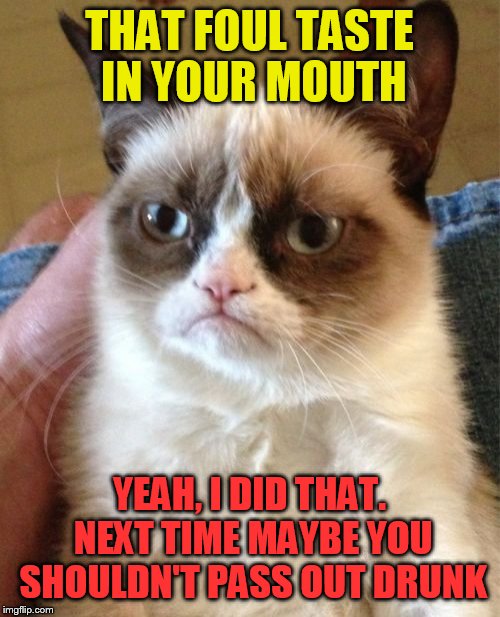 Grumpy Cat Meme | THAT FOUL TASTE IN YOUR MOUTH; YEAH, I DID THAT. NEXT TIME MAYBE YOU SHOULDN'T PASS OUT DRUNK | image tagged in memes,grumpy cat | made w/ Imgflip meme maker
