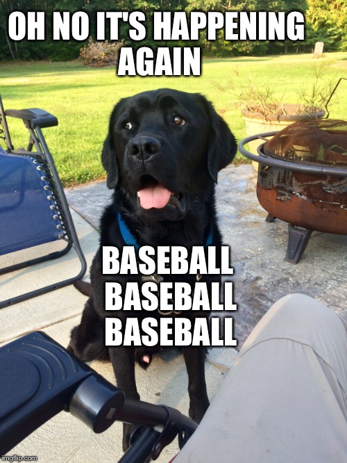 OH NO IT'S HAPPENING AGAIN; BASEBALL BASEBALL BASEBALL | image tagged in doge | made w/ Imgflip meme maker