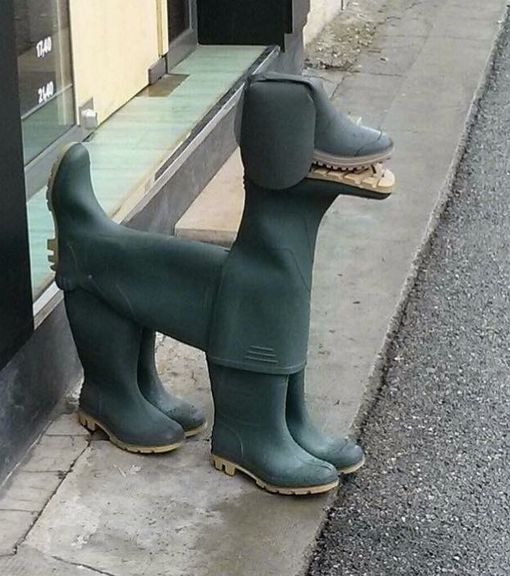High Quality Boot dog Blank Meme Template