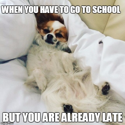 WHEN YOU HAVE TO GO TO SCHOOL; BUT YOU ARE ALREADY LATE | made w/ Imgflip meme maker