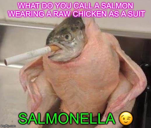 THERE WILL BE A PART 2 GUYS(salmonella jokes 2k 17) | WHAT DO YOU CALL A SALMON WEARING A RAW CHICKEN AS A SUIT; SALMONELLA 😉 | image tagged in bad ass fish,funny memes | made w/ Imgflip meme maker