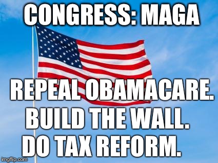 American Flag | CONGRESS: MAGA; REPEAL OBAMACARE. BUILD THE WALL. DO TAX REFORM. | image tagged in american flag | made w/ Imgflip meme maker
