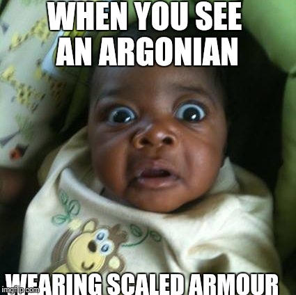 WHEN YOU SEE AN ARGONIAN; WEARING SCALED ARMOUR | image tagged in skyrim meme,argonian,baby | made w/ Imgflip meme maker