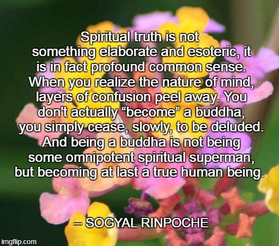 Spiritual truth is not something elaborate and esoteric, it is in fact profound common sense. When you realize the nature of mind, layers of confusion peel away. You don't actually “become” a buddha, you simply cease, slowly, to be deluded. And being a buddha is not being some omnipotent spiritual superman, but becoming at last a true human being. -- SOGYAL RINPOCHE | image tagged in spontaneous beauty | made w/ Imgflip meme maker