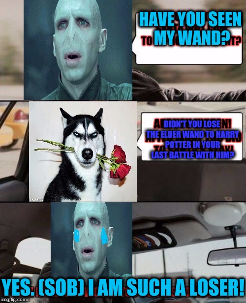 The Voldermort Driving | HAVE YOU SEEN MY WAND? DIDN'T YOU LOSE THE ELDER WAND TO HARRY POTTER IN YOUR LAST BATTLE WITH HIM? YES. (SOB) I AM SUCH A LOSER! | image tagged in voldemort driving,grumpy dog | made w/ Imgflip meme maker