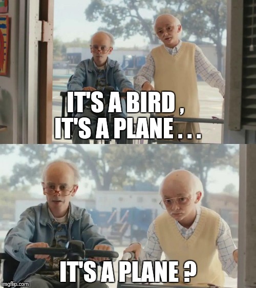 IT'S A BIRD , IT'S A PLANE . . . IT'S A PLANE ? | image tagged in bad joke tim and charlie | made w/ Imgflip meme maker