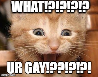 Excited Cat | WHAT!?!?!?!? UR GAY!??!?!?! | image tagged in memes,excited cat | made w/ Imgflip meme maker