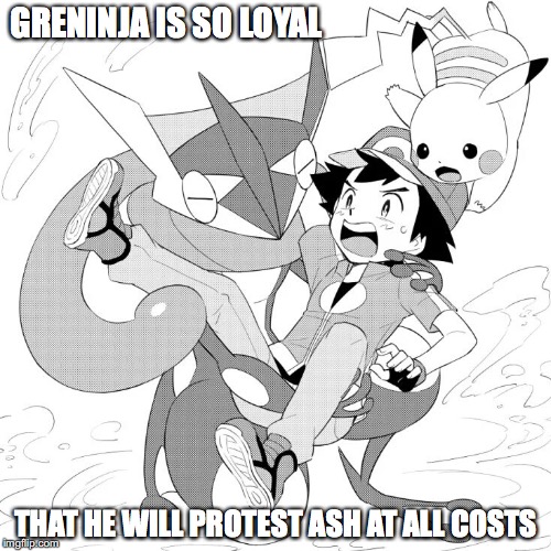 Loyal Greninja | GRENINJA IS SO LOYAL; THAT HE WILL PROTEST ASH AT ALL COSTS | image tagged in greninja,loyalty,memes,pokemon | made w/ Imgflip meme maker