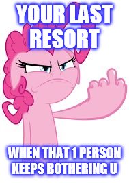 Middle finger pony | YOUR LAST RESORT; WHEN THAT 1 PERSON KEEPS BOTHERING U | image tagged in middle finger pony | made w/ Imgflip meme maker