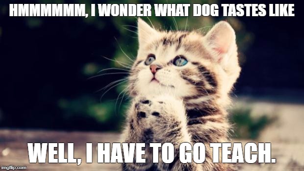 Cute kitten | HMMMMMM, I WONDER WHAT DOG TASTES LIKE; WELL, I HAVE TO GO TEACH. | image tagged in cute kitten | made w/ Imgflip meme maker