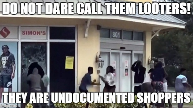 DO NOT DARE CALL THEM LOOTERS! THEY ARE UNDOCUMENTED SHOPPERS | image tagged in undocumented shoppers | made w/ Imgflip meme maker