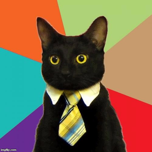 Business Cat Meme | image tagged in memes,business cat | made w/ Imgflip meme maker