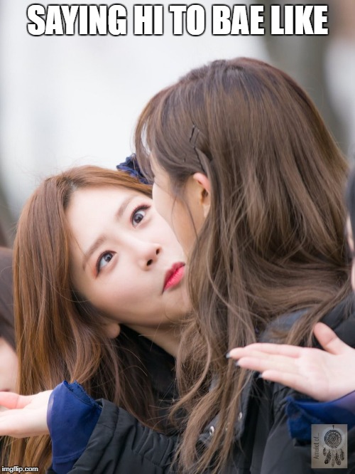 Saying hi to bae like... | SAYING HI TO BAE LIKE | image tagged in bae,dreamcatcher,jiu,yoohyeon | made w/ Imgflip meme maker