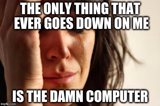 First World Problems | THE ONLY THING THAT EVER GOES DOWN ON ME; IS THE DAMN COMPUTER | image tagged in memes,first world problems | made w/ Imgflip meme maker