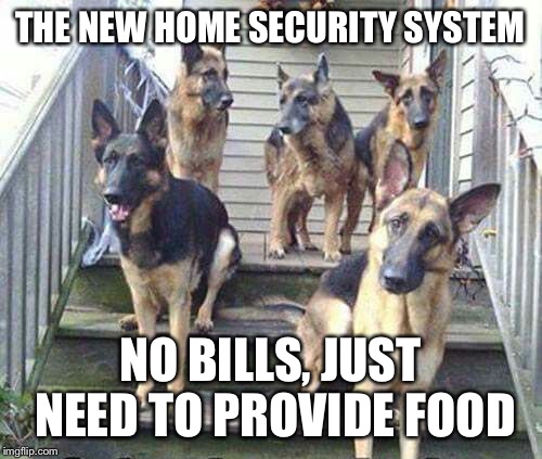 German Shepard security | THE NEW HOME SECURITY SYSTEM; NO BILLS, JUST NEED TO PROVIDE FOOD | image tagged in german shepherd,dogs,security | made w/ Imgflip meme maker