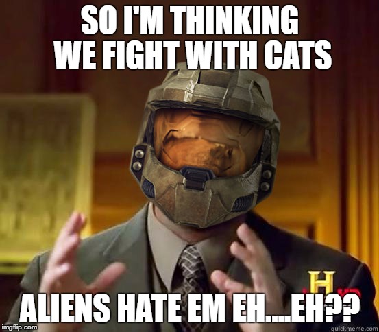 alien halo | SO I'M THINKING WE FIGHT WITH CATS; ALIENS HATE EM
EH....EH?? | image tagged in alien halo | made w/ Imgflip meme maker