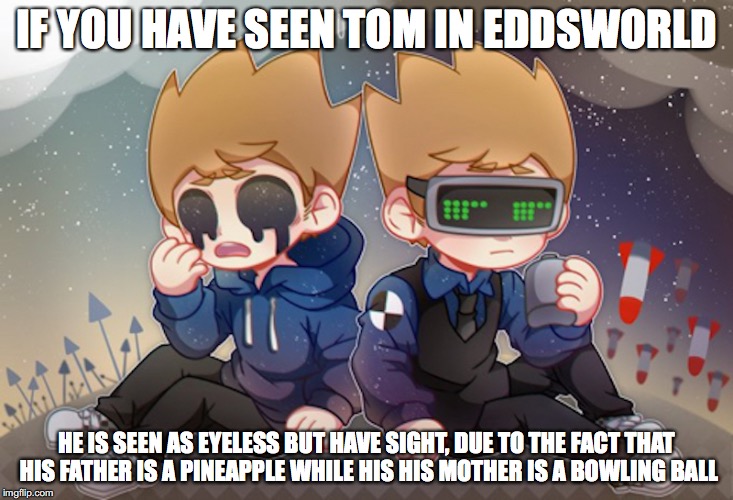 Eddsworld Tom | IF YOU HAVE SEEN TOM IN EDDSWORLD; HE IS SEEN AS EYELESS BUT HAVE SIGHT, DUE TO THE FACT THAT HIS FATHER IS A PINEAPPLE WHILE HIS HIS MOTHER IS A BOWLING BALL | image tagged in eddsworld,memes | made w/ Imgflip meme maker