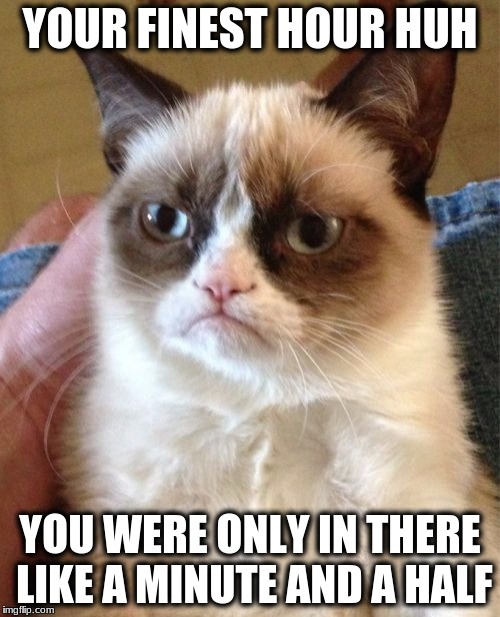 Grumpy Cat | YOUR FINEST HOUR HUH; YOU WERE ONLY IN THERE LIKE A MINUTE AND A HALF | image tagged in memes,grumpy cat | made w/ Imgflip meme maker