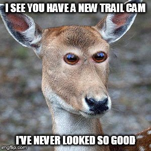 Oh deer | I SEE YOU HAVE A NEW TRAIL CAM; I'VE NEVER LOOKED SO GOOD | image tagged in oh deer | made w/ Imgflip meme maker