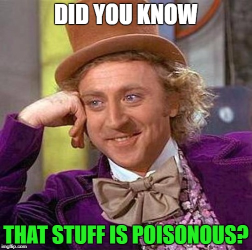 Creepy Condescending Wonka | DID YOU KNOW; THAT STUFF IS POISONOUS? | image tagged in memes,creepy condescending wonka | made w/ Imgflip meme maker
