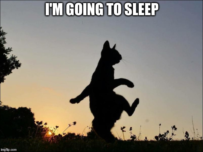 Night cat | I'M GOING TO SLEEP | image tagged in night cat | made w/ Imgflip meme maker