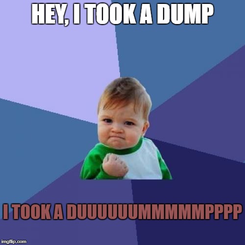 Success Kid Meme | HEY, I TOOK A DUMP; I TOOK A DUUUUUUMMMMMPPPP | image tagged in memes,success kid | made w/ Imgflip meme maker