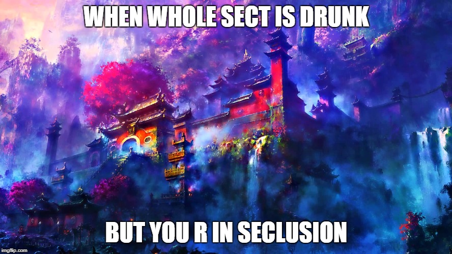 immortal | WHEN WHOLE SECT IS DRUNK; BUT YOU R IN SECLUSION | image tagged in first world problems | made w/ Imgflip meme maker
