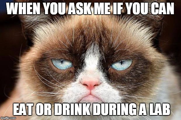 Grumpy Cat Not Amused | WHEN YOU ASK ME IF YOU CAN; EAT OR DRINK DURING A LAB | image tagged in memes,grumpy cat not amused,grumpy cat | made w/ Imgflip meme maker