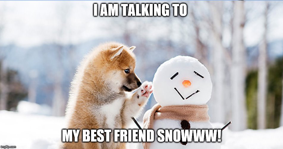 Best Friend Snowman | I AM TALKING TO; MY BEST FRIEND SNOWWW! | image tagged in dogs | made w/ Imgflip meme maker