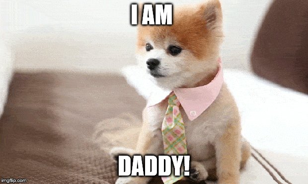 I love you, daddy! | I AM; DADDY! | image tagged in dog | made w/ Imgflip meme maker