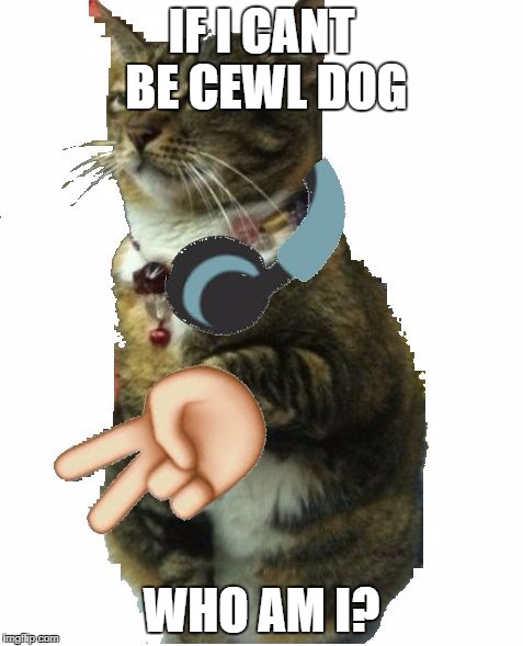 IF I CANT BE CEWL DOG; WHO AM I? | image tagged in dogo | made w/ Imgflip meme maker