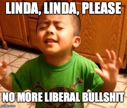 LINDA, LINDA, PLEASE; NO MORE LIBERAL BULLSHIT | image tagged in liberals,triggered liberal | made w/ Imgflip meme maker