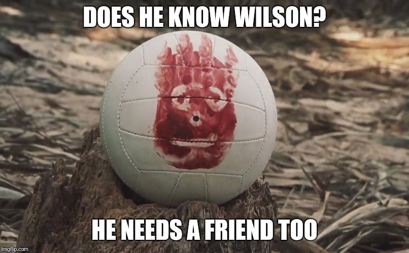 DOES HE KNOW WILSON? HE NEEDS A FRIEND TOO | image tagged in wilson from castaway | made w/ Imgflip meme maker