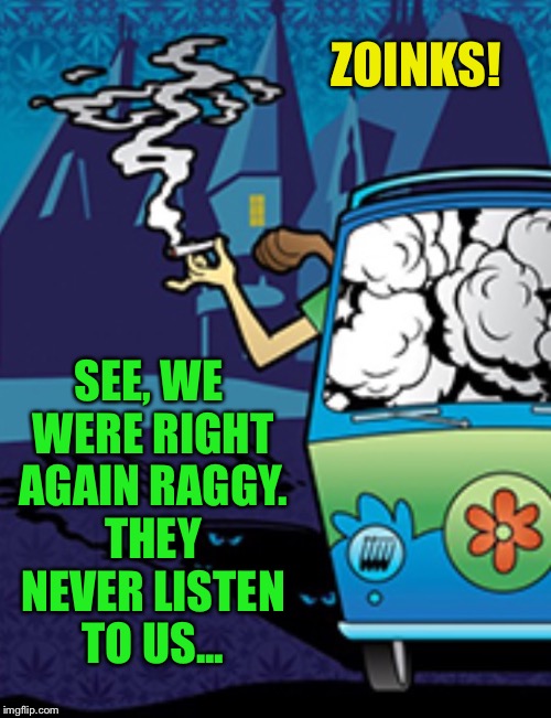 ZOINKS! SEE, WE WERE RIGHT AGAIN RAGGY. THEY NEVER LISTEN TO US... | made w/ Imgflip meme maker