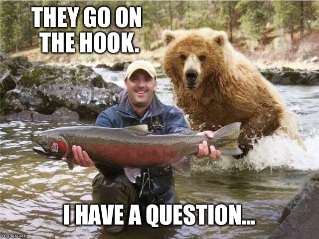 THEY GO ON THE HOOK. I HAVE A QUESTION... | made w/ Imgflip meme maker