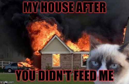 Burn Kitty | MY HOUSE AFTER; YOU DIDN'T FEED ME | image tagged in memes,burn kitty,grumpy cat | made w/ Imgflip meme maker