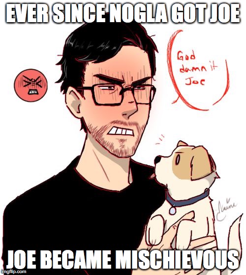 Nogla's Joe | EVER SINCE NOGLA GOT JOE; JOE BECAME MISCHIEVOUS | image tagged in daithi de nogla,memes | made w/ Imgflip meme maker