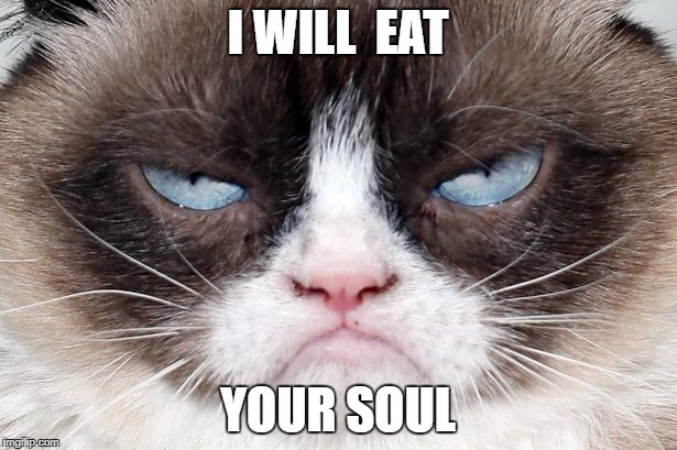 Grumpy cat will eat your soul | I WILL  EAT; YOUR SOUL | image tagged in grumpy cat,soul,eat your soul | made w/ Imgflip meme maker