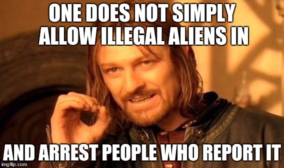 One Does Not Simply Meme | ONE DOES NOT SIMPLY ALLOW ILLEGAL ALIENS IN; AND ARREST PEOPLE WHO REPORT IT | image tagged in memes,one does not simply | made w/ Imgflip meme maker