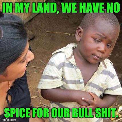 Third World Skeptical Kid Meme | IN MY LAND, WE HAVE NO SPICE FOR OUR BULL SHIT. | image tagged in memes,third world skeptical kid | made w/ Imgflip meme maker