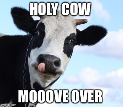 HOLY COW MOOOVE OVER | made w/ Imgflip meme maker
