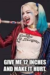 GIVE ME 12 INCHES AND MAKE IT HURT. | made w/ Imgflip meme maker