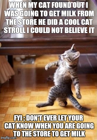 Cool Cat Stroll Meme | WHEN MY CAT FOUND OUT I WAS GOING TO GET MILK FROM THE STORE HE DID A COOL CAT STROLL I COULD NOT BELIEVE IT; FYI ; DON'T EVER LET YOUR CAT KNOW WHEN YOU ARE GOING TO THE STORE TO GET MILK | image tagged in memes,cool cat stroll | made w/ Imgflip meme maker