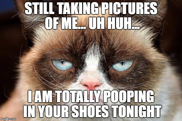 Grumpy Cat Not Amused Meme | STILL TAKING PICTURES OF ME... UH HUH... I AM TOTALLY POOPING IN YOUR SHOES TONIGHT | image tagged in memes,grumpy cat not amused,grumpy cat | made w/ Imgflip meme maker