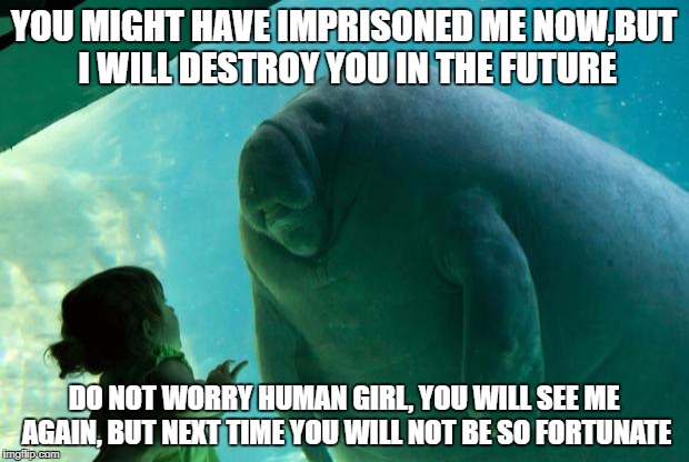 Overlord Manatee | YOU MIGHT HAVE IMPRISONED ME NOW,BUT I WILL DESTROY YOU IN THE FUTURE; DO NOT WORRY HUMAN GIRL, YOU WILL SEE ME AGAIN, BUT NEXT TIME YOU WILL NOT BE SO FORTUNATE | image tagged in overlord manatee | made w/ Imgflip meme maker