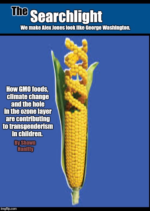 How GMO foods, climate change and the hole in the ozone layer are contributing to transgenderism in children. By Shawn Hanitty | image tagged in searchlight | made w/ Imgflip meme maker